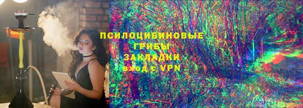 apvp Алзамай