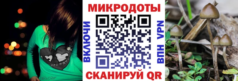 даркнет Telegram  Сибай  Галлюциногенные грибы мухоморы  продажа наркотиков 